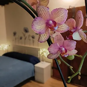 Apartment Il Giardino Segreto